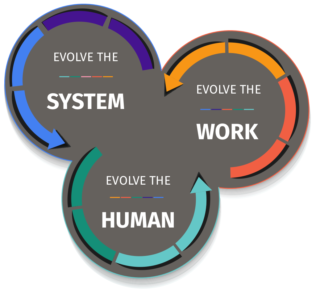 Graphic depicts a continuous flow, from Evolve the human, to Evolve the work, to Evolve the system