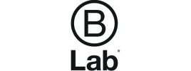 Logo: B Lab